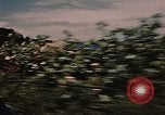 Standbild Die Fischer der Gemeinschaft Gloucester Massachusetts USA, 1946, aus Sekunde 14 historischem Filmmaterial Videoclip 65675071061
