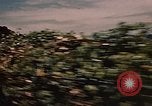 Standbild Die Fischer der Gemeinschaft Gloucester Massachusetts USA, 1946, aus Sekunde 15 historischem Filmmaterial Videoclip 65675071061