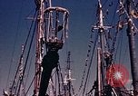 Immagine di I pescatori Gloucester Massachusetts USA, 1946, secondo 9 filmato di repertorio 65675071062