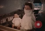 Immagine di I pescatori Gloucester Massachusetts USA, 1946, secondo 33 filmato di repertorio 65675071062