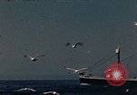 Standbild Fischer Gloucester Massachusetts USA, 1946, aus Sekunde 1 historischem Filmmaterial Videoclip 65675071064