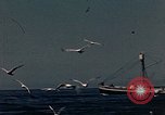 Standbild Fischer Gloucester Massachusetts USA, 1946, aus Sekunde 3 historischem Filmmaterial Videoclip 65675071064