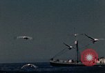 Standbild Fischer Gloucester Massachusetts USA, 1946, aus Sekunde 4 historischem Filmmaterial Videoclip 65675071064