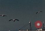 Standbild Fischer Gloucester Massachusetts USA, 1946, aus Sekunde 5 historischem Filmmaterial Videoclip 65675071064