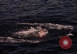 Standbild Fischer Gloucester Massachusetts USA, 1946, aus Sekunde 46 historischem Filmmaterial Videoclip 65675071066