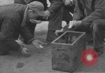 Image of 9th Army Air Force European Theater, 1944, second 12 stock footage video 65675071077