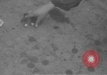 Image of 9th Army Air Force European Theater, 1944, second 18 stock footage video 65675071077
