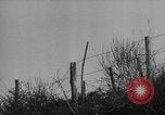 Image of German infantry Italy, 1942, second 51 stock footage video 65675071080