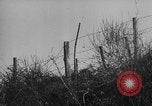Image of German infantry Italy, 1942, second 53 stock footage video 65675071080