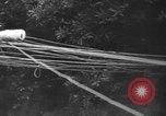 Image l'infanterie allemande Nettuno Italie, 1944, de la seconde 21 séquences d'archives historiques vidéo 65675071081