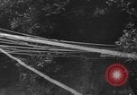 Image l'infanterie allemande Nettuno Italie, 1944, de la seconde 22 séquences d'archives historiques vidéo 65675071081