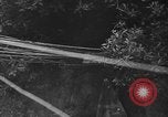 Image l'infanterie allemande Nettuno Italie, 1944, de la seconde 23 séquences d'archives historiques vidéo 65675071081