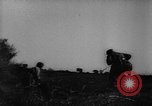 Image l'infanterie allemande Nettuno Italie, 1944, de la seconde 37 séquences d'archives historiques vidéo 65675071081