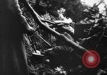 Image l'infanterie allemande Nettuno Italie, 1944, de la seconde 45 séquences d'archives historiques vidéo 65675071081