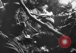 Image l'infanterie allemande Nettuno Italie, 1944, de la seconde 46 séquences d'archives historiques vidéo 65675071081
