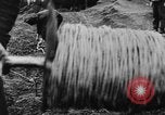 Image of German troops Europe, 1944, second 31 stock footage video 65675071084