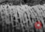 Image of German troops Europe, 1944, second 32 stock footage video 65675071084