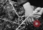Image of German troops Europe, 1944, second 35 stock footage video 65675071084