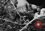 Image of German troops Europe, 1944, second 36 stock footage video 65675071084