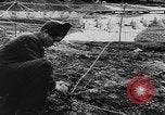 Image of German troops Europe, 1944, second 38 stock footage video 65675071084