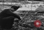 Image of German troops Europe, 1944, second 40 stock footage video 65675071084