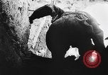 Immagine di La fanteria tedesca Cassino in Italia, 1944, secondo 33 filmato di repertorio 65675071086