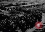 Image of Allied troops France, 1917, second 59 stock footage video 65675071100