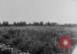 Image of Allied troops France, 1917, second 48 stock footage video 65675071101