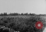 Image of Allied troops France, 1917, second 49 stock footage video 65675071101