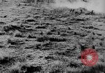 Image of Allied troops France, 1917, second 44 stock footage video 65675071102