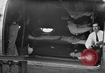 Image of C-54 air evacuation aircraft New York United States USA, 1945, second 12 stock footage video 65675071111