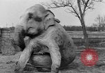 Standbild Leon Pinetzki West Hempstead New York USA, 1932, aus Sekunde 18 historischem Filmmaterial Videoclip 65675071113