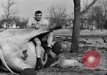 Standbild Leon Pinetzki West Hempstead New York USA, 1932, aus Sekunde 59 historischem Filmmaterial Videoclip 65675071113