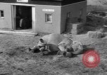 Standbild Leon Pinetzki West Hempstead New York USA, 1932, aus Sekunde 62 historischem Filmmaterial Videoclip 65675071113