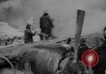 Standbild beschädigt Frachtflugzeug New York United States USA, 1958, aus Sekunde 13 historischem Filmmaterial Videoclip 65675071115