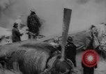 Standbild beschädigt Frachtflugzeug New York United States USA, 1958, aus Sekunde 14 historischem Filmmaterial Videoclip 65675071115
