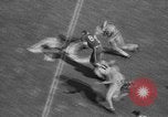 Standbild Armee versus Reis Fußball Houston Texas USA, 1958, aus Sekunde 16 historischem Filmmaterial Videoclip 65675071117