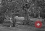 Immagine di Signore Vansittart Denham Inghilterra, 1944, secondo 14 filmato di repertorio 65675071125