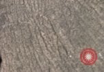 Immagine di Sesto anniversario della Flotta Mare Mediterraneo, 1968, secondo 62 filmato di repertorio 65675071131