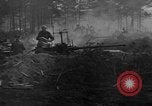 Image of Free French Forces France, 1944, second 49 stock footage video 65675071143