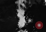 Image of Hitler Youth members Germany, 1944, second 57 stock footage video 65675071151