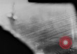 Image of German Ju-87 dive bombers Hungary, 1944, second 23 stock footage video 65675071153