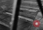 Image of German Ju-87 dive bombers Hungary, 1944, second 28 stock footage video 65675071153