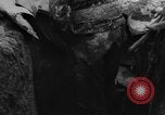 Image of German Ju-87 dive bombers Hungary, 1944, second 41 stock footage video 65675071153