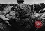 Image of German Ju-87 dive bombers Hungary, 1944, second 42 stock footage video 65675071153