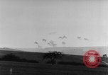 Immagine di La Parete ovest Germania, 1944, secondo 50 filmato di repertorio 65675071154