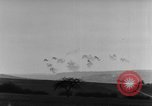 Immagine di La Parete ovest Germania, 1944, secondo 53 filmato di repertorio 65675071154