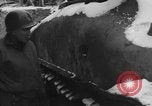 Image of US Soldiers examine damaged US M4 and German Panther tank Sterpigny Belgium, 1945, second 15 stock footage video 65675071156