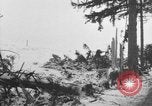 Image of US Soldiers examine damaged US M4 and German Panther tank Sterpigny Belgium, 1945, second 59 stock footage video 65675071156