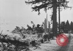 Image of US Soldiers examine damaged US M4 and German Panther tank Sterpigny Belgium, 1945, second 60 stock footage video 65675071156